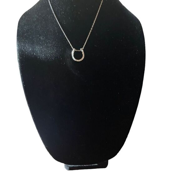 Good Luck Silver-tone Rhinestone Horseshoe Necklace (NWOT) - Picture 5 of 6